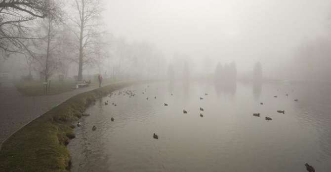 ����: udf.by