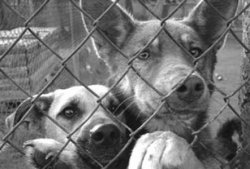 Беби-бум в Гродненском зоопарке