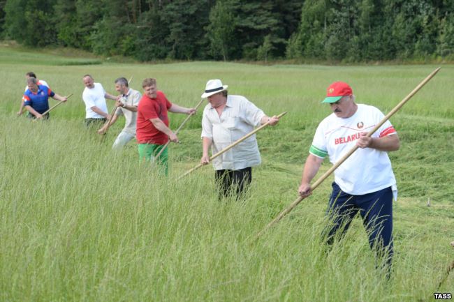 Почему сельское хозяйство в Беларуси четверть века остается убыточным Почему сельское хозяйство в Беларуси четверть века остается убыточным