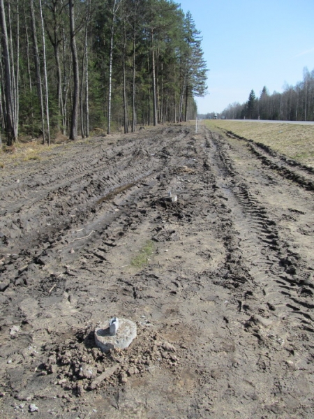 На трассе Минск-Гродно украли... 98 столбов На трассе Минск-Гродно украли... 98 столбов