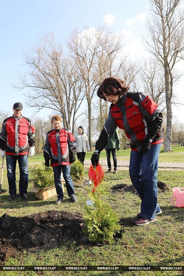 Полоцкие чиновники закупили для субботника себе и Кочановой польские куртки по $50