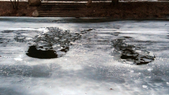 Как школьник спас в Минске тонущую пенсионерку 