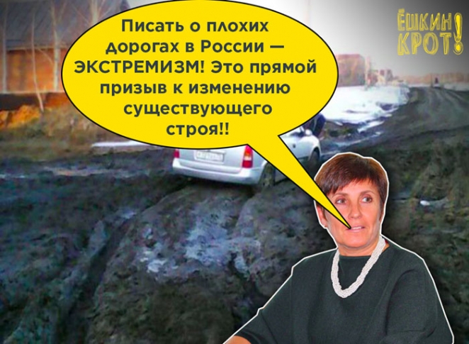 Жительница Омской области пожаловалась на плохие дороги. Ее обвинили в экстремизме