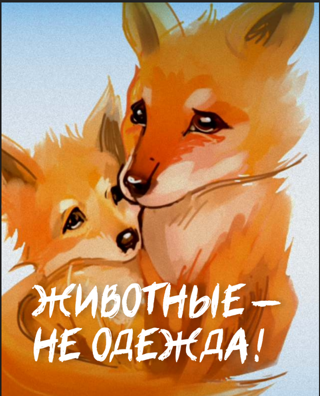 Как защитить права человека с помощью краудфандинга? Как защитить права человека с помощью краудфандинга?