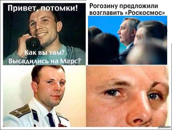 Невзоров: Рогозина следовало бы назначить губернатором Венеры Невзоров: Рогозина следовало бы назначить губернатором Венеры