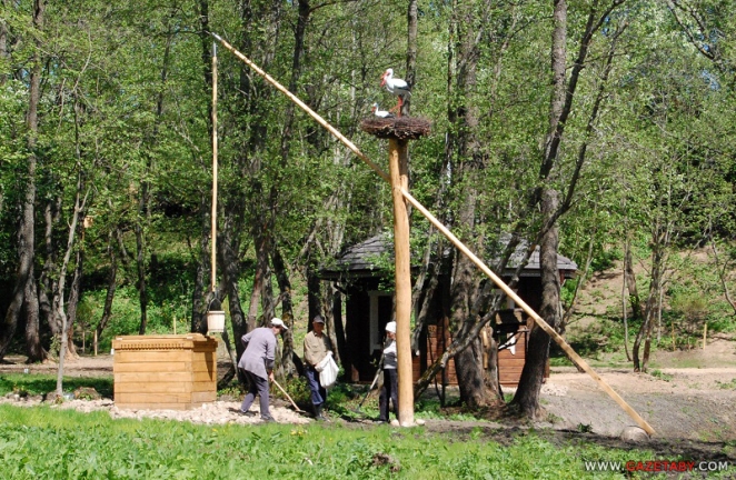 Обновки на малой родине Лукашенко: деньги вновь потекли рекой