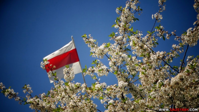 Оршанский район: "Пророссийские настроения здесь очень сильны. В Минске недорабатывают"