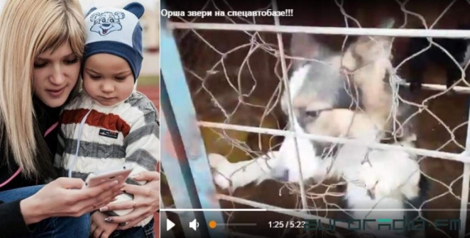 Animal cruelty in Belarus