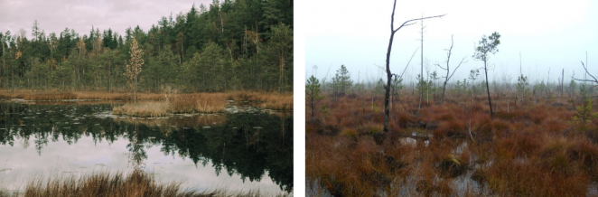 Факты о Беларуси, которые шокируют иностранцев. И многих белорусов тоже