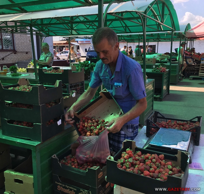 Клубничные "короли" в сезон спят по четыре часа: "Короли во Дворце живут"