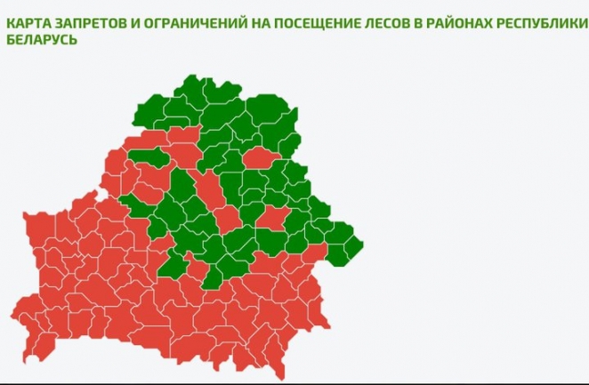 Введен запрет на посещение лесов в 72 регионах Беларуси. Высок риск пожаров 