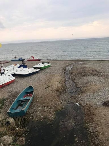 Крымское болото завоняло