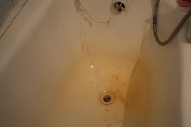 Коровам на ферме подключили более качественную воду, чем людям