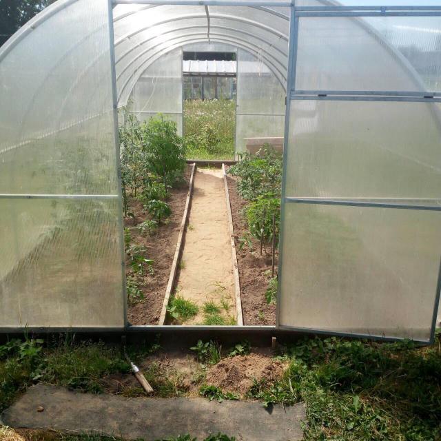 UD@F: «Обновленный стадион “Динамо” — аллюзия на госстрой: давайте оставим в глубокой основе совок, но наденем красивую кепочку»