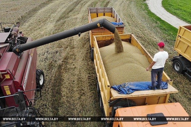 В образцовом колхозе "Вертелишки" комбайнеры работают в вышимайках В образцовом колхозе "Вертелишки" комбайнеры работают в вышимайках
