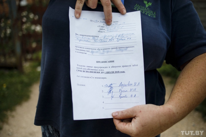 Жители Заболотья: "Свиней своих никому не отдадим и забивать не будем!"