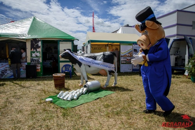 UD@F: «Обновленный стадион “Динамо” — аллюзия на госстрой: давайте оставим в глубокой основе совок, но наденем красивую кепочку»