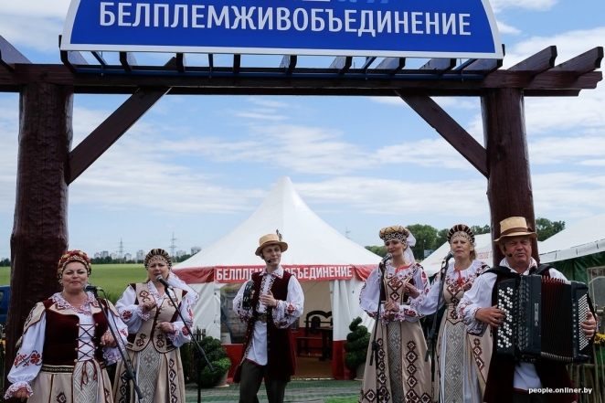 UD@F: «Обновленный стадион “Динамо” — аллюзия на госстрой: давайте оставим в глубокой основе совок, но наденем красивую кепочку»