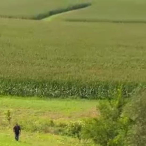 Студентка, за поисками которой следила вся Америка, найдена мертвой Студентка, за поисками которой следила вся Америка, найдена мертвой