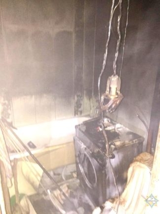 Минского кота чуть не убила стиральная машина