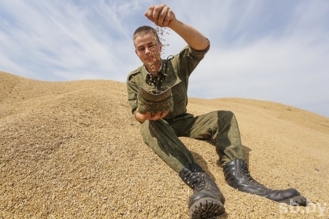 Военнослужащие помогают на уборке урожая - фотофакт