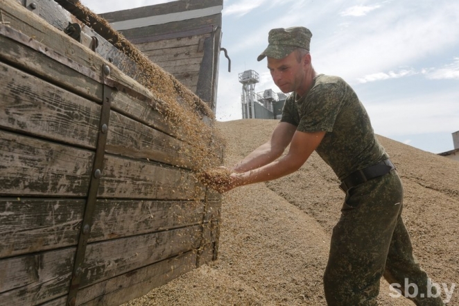 Военнослужащие помогают на уборке урожая - фотофакт