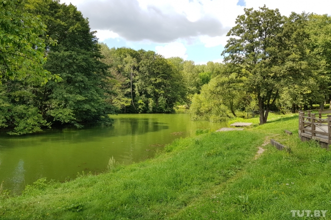 Жуть! Вода в Комсомольском озере позеленела еще больше