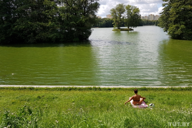 Жуть! Вода в Комсомольском озере позеленела еще больше