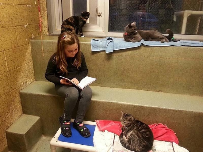 Как кошки помогают детям развить навыки чтения