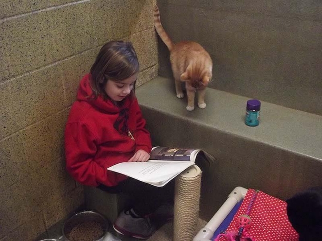 Как кошки помогают детям развить навыки чтения
