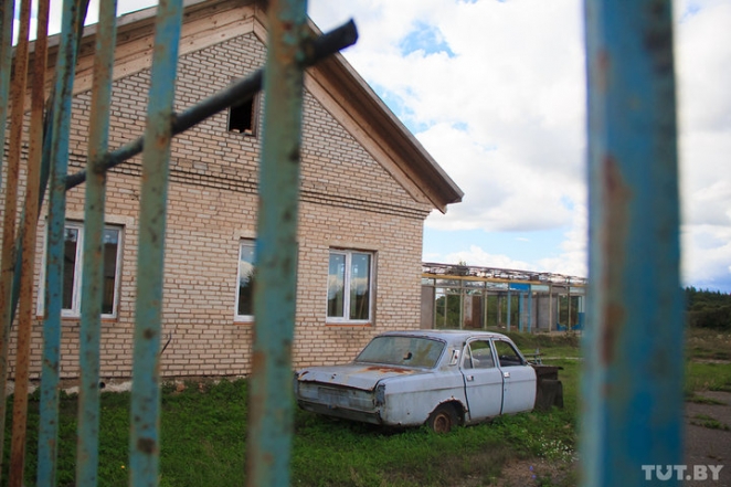 Как маленькая Дисна "устала от безнадеги" и устроила большой бунт