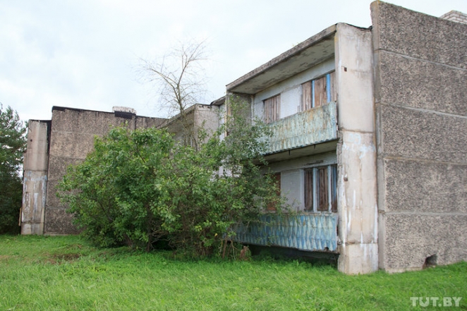 Как маленькая Дисна "устала от безнадеги" и устроила большой бунт