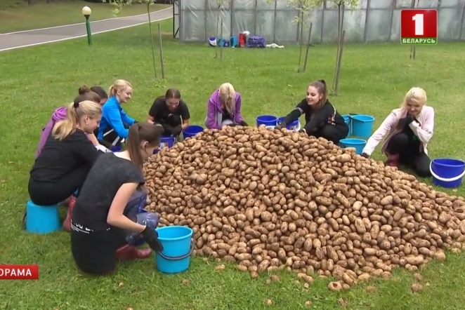 UD@F: Слева - президент Беларуси