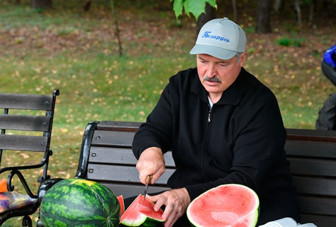 Лукашенко в окружении красавиц собирал арбузы