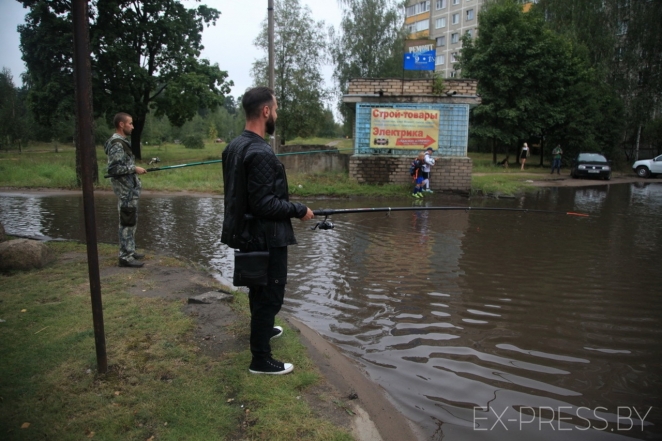 UD@F: «Вот Илон Маск — красивый, умный, свободный мужчина, но не белорус, конечно, не белорус…»