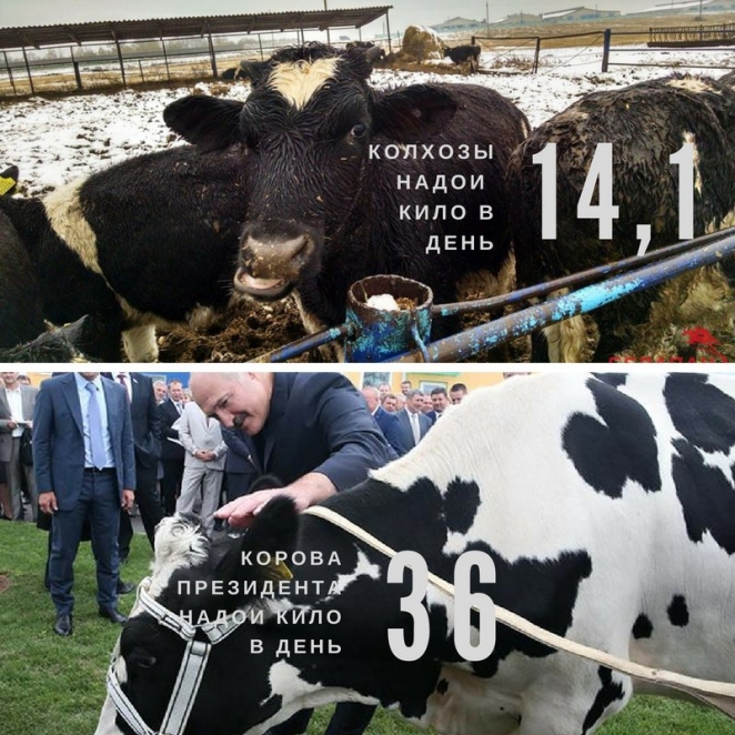 UD@F: Как белорусы тренировались бежать из страны, готовясь к запуску АЭС