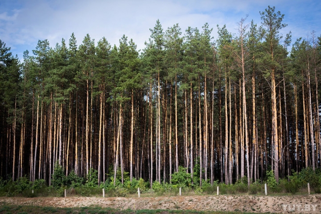 "Лишний раз в пущу не ходим". Как живет Новый Двор спустя год после исчезновения Максима Мархалюка 