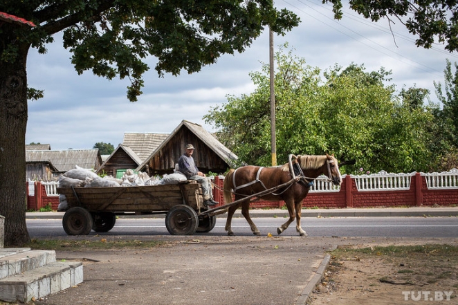 "Лишний раз в пущу не ходим". Как живет Новый Двор спустя год после исчезновения Максима Мархалюка 