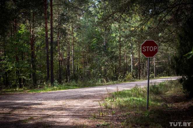 "Лишний раз в пущу не ходим". Как живет Новый Двор спустя год после исчезновения Максима Мархалюка 