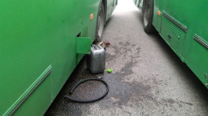 UD@F: Белорусов признали самым безэмоциональным народом — но в этом есть плюсы!