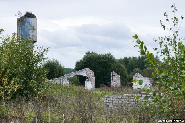 Минус $3 миллиона: колхозное фиаско минского бизнесмена