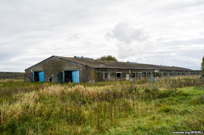 Минус $3 миллиона: колхозное фиаско минского бизнесмена