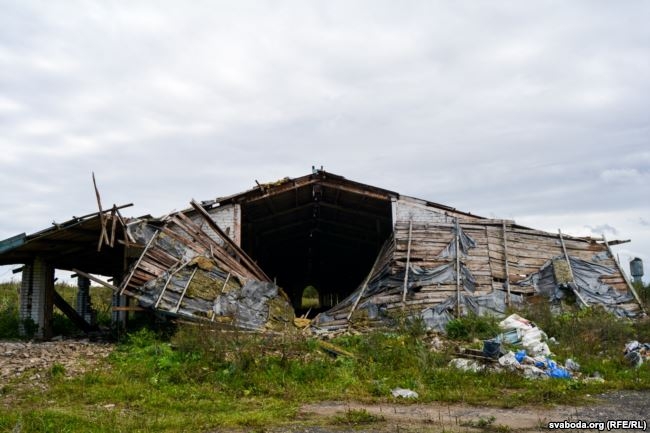 Минус $3 миллиона: колхозное фиаско минского бизнесмена