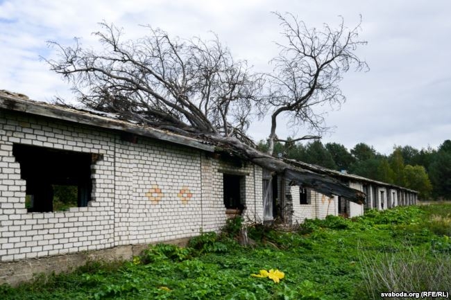 Минус $3 миллиона: колхозное фиаско минского бизнесмена