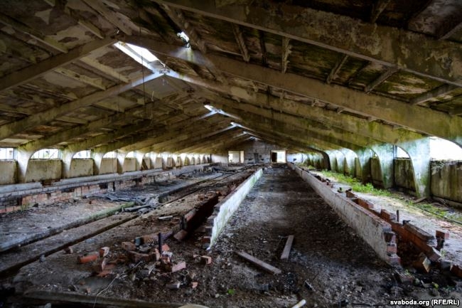 Минус $3 миллиона: колхозное фиаско минского бизнесмена