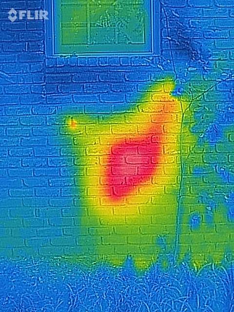 "Никогда такого не видел": повелитель пчел вскрыл стену жилого дома и обнаружил целую цивилизацию "Никогда такого не видел": повелитель пчел вскрыл стену жилого дома и обнаружил целую цивилизацию