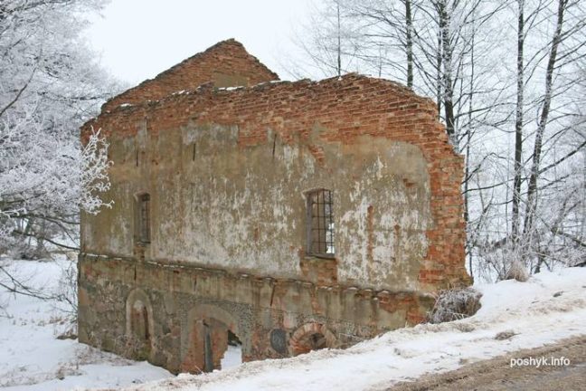 Дворец Радзивиллов под Барановичами можно купить на аукционе за 20 тысяч рублей