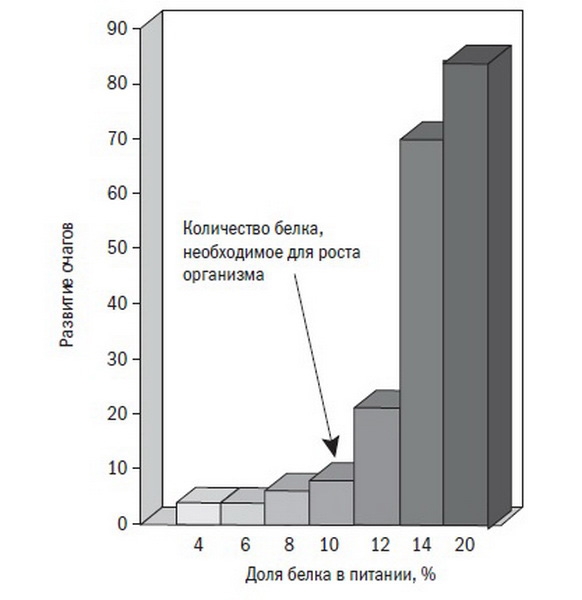 Рак, инсульт, сахарный диабет. Почему "хорошее" питание нас убивает