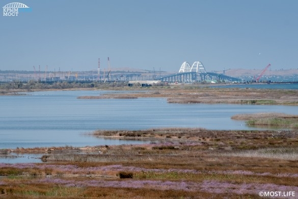 Корабли НАТО остановят под Крымским мостом Корабли НАТО остановят под Крымским мостом