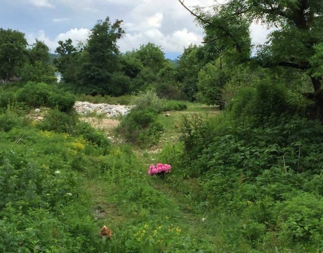 "Насиловали, били камнями, задушили"